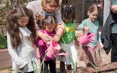 Schoolyard Gardening Projects