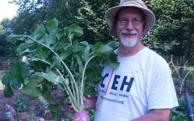 Reconsidering Turnips