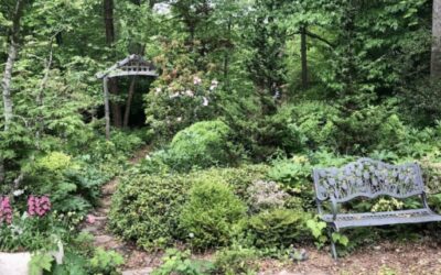 A Visit to the Gardens of Julia Green